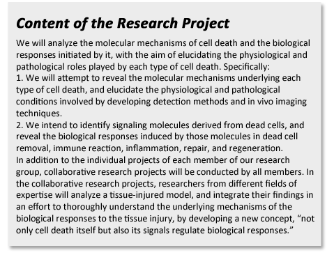 Content of the Research Project