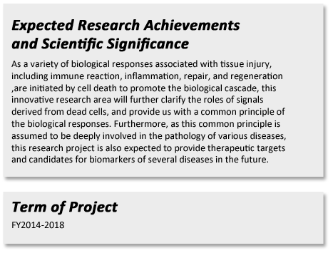 Expected Research Achievements and Scientific Significance 