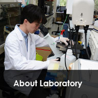 About Laboratory